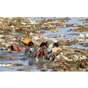 Quattro uomini che stanno facendo l'Open Defecation in acqua 